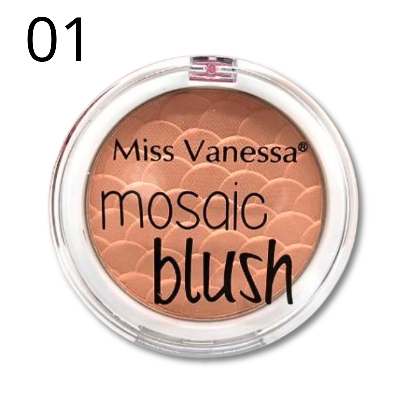 MISSVANESSA® MOSAIC BLUSH 4 TONALITA'