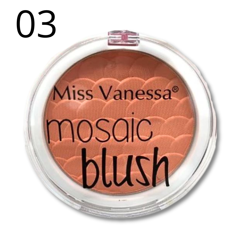 MISSVANESSA® MOSAIC BLUSH 4 TONALITA'