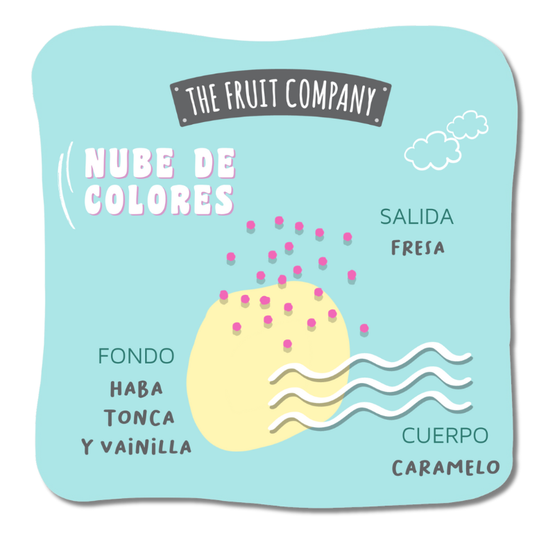 THE FRUIT COMPANY® DEODORANTE ARMADIO 45G "CANDY SHOP"